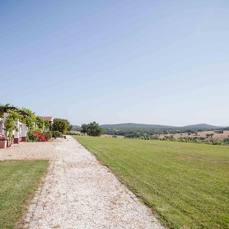 Willa Stunning Mansion In Sao Cristovao Montemor-o-Novo Zewnętrze zdjęcie